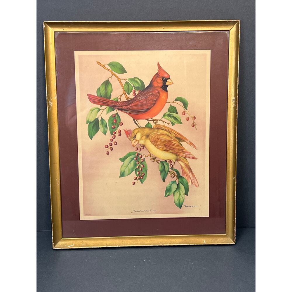 Vintage Lithograph Print Cardinal and Wild Cherry by Vincent 15x10 Framed 60s